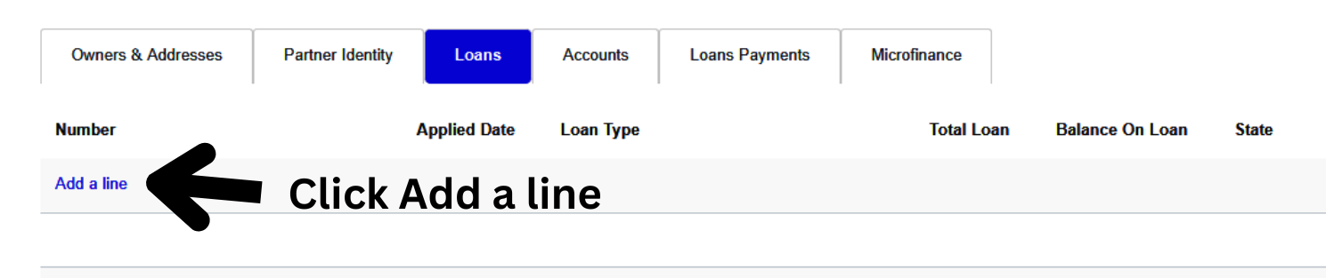customer_loan_add